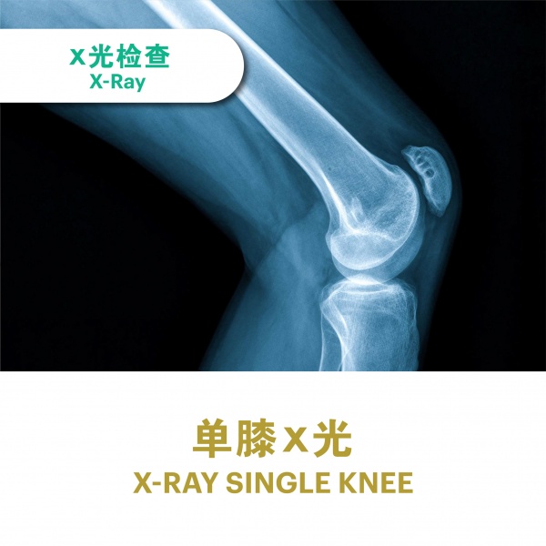 ecommerce_cover_ultrasound_v311_7_2025-27_828807336