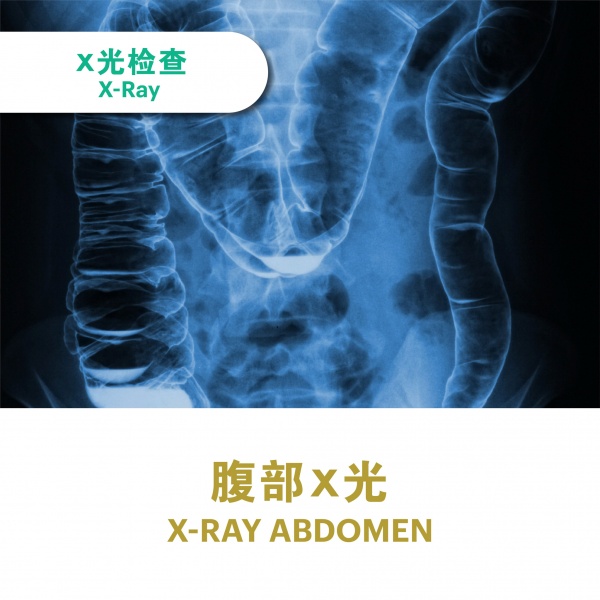 ecommerce_cover_ultrasound_v311_7_2025-30